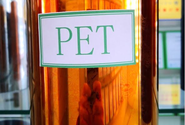 final pet